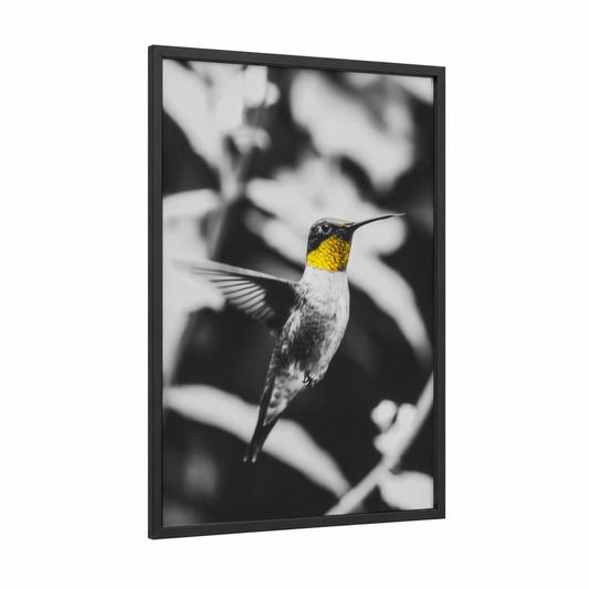 Golden Hummingbird framed art print — black wood frame — black and white and gold palette