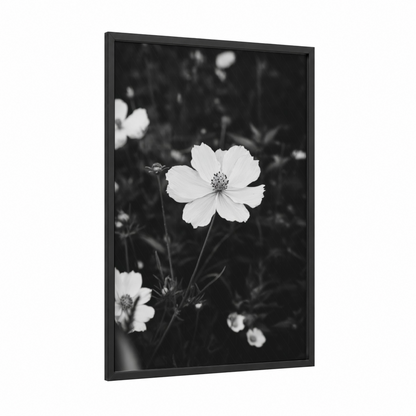 Monochrome Cosmos framed abstract flower print — black wood frame — black and white palette