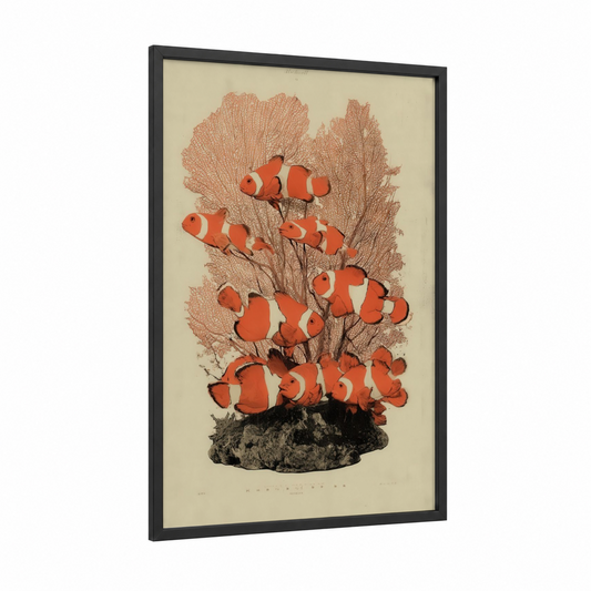 Coral Garden Clownfish framed clown fish print — black wood frame — orange and cream palette