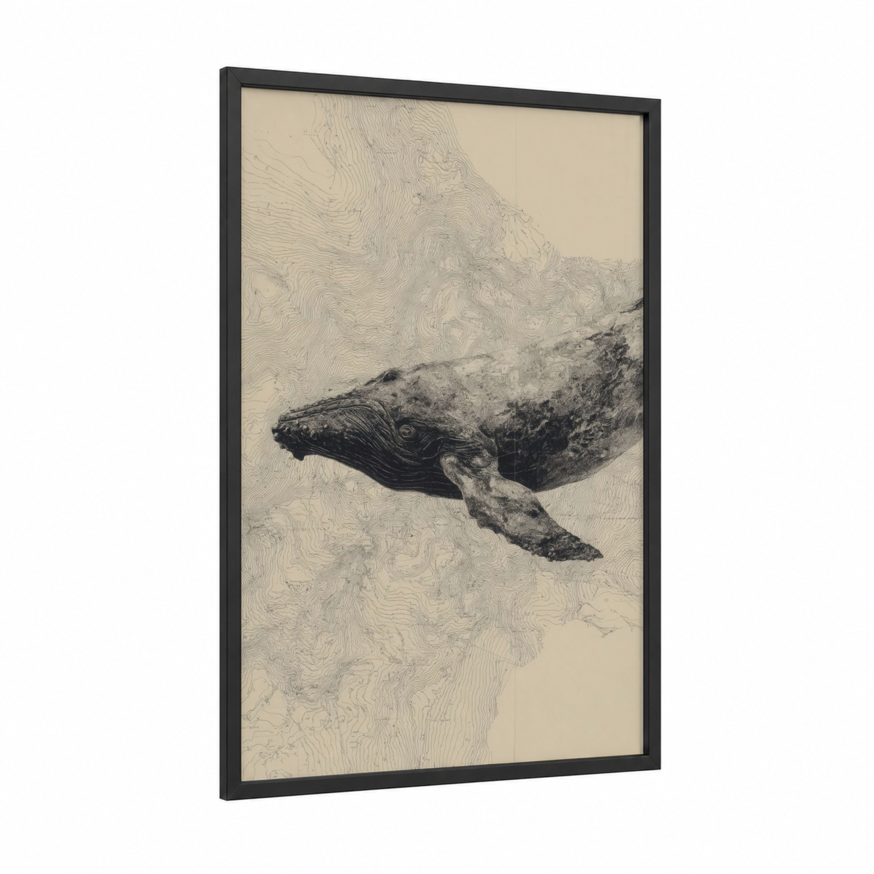 Serene Humpback framed humpback whale print — black wood frame — beige and black and white palette