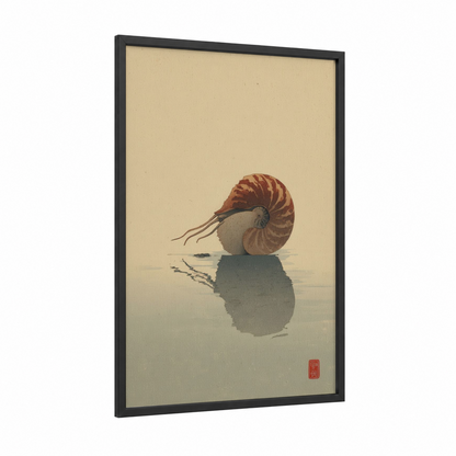 Pearlescent Nautilus framed art print — black wood frame — cream and russet palette