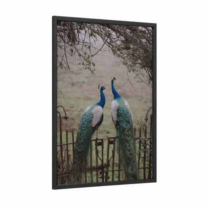 Peacock Pair Gates framed art print — black wood frame — teal and dove gray palette