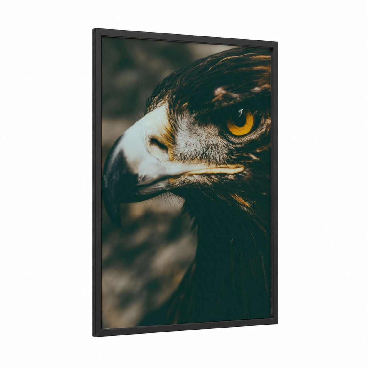Golden Eagle Profile framed art print — black wood frame — brown and gold palette