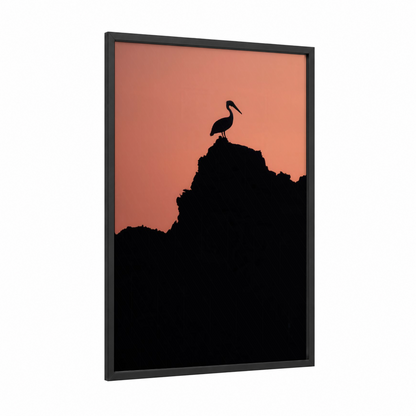 Cliff Pelican framed art print — black wood frame — peach and black palette