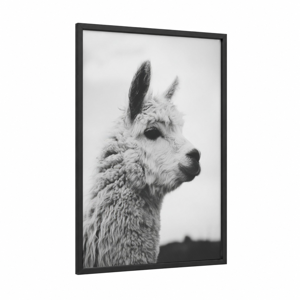 Serene Alpaca framed art print — black wood frame — black and white palette