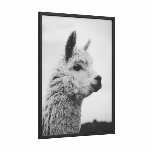 Serene Alpaca framed art print — black wood frame — black and white palette