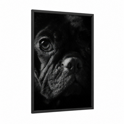 Contemplative Bulldog framed art print — black wood frame — black and white palette