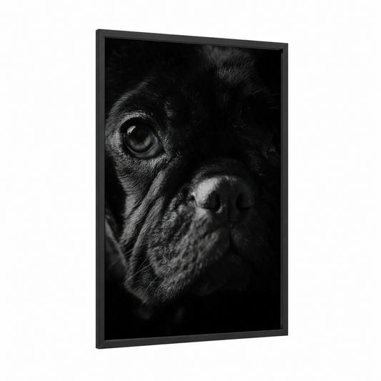 Contemplative Bulldog framed art print — black wood frame — black and white palette