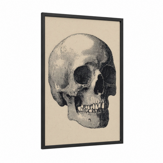 Anatomical Skull framed art print — black wood frame — black and white and cream palette