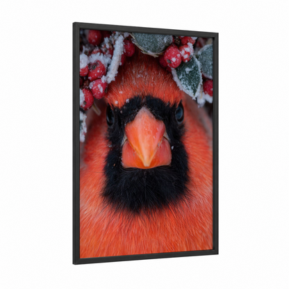 Snowy Cardinal framed art print — black wood frame — red and white palette