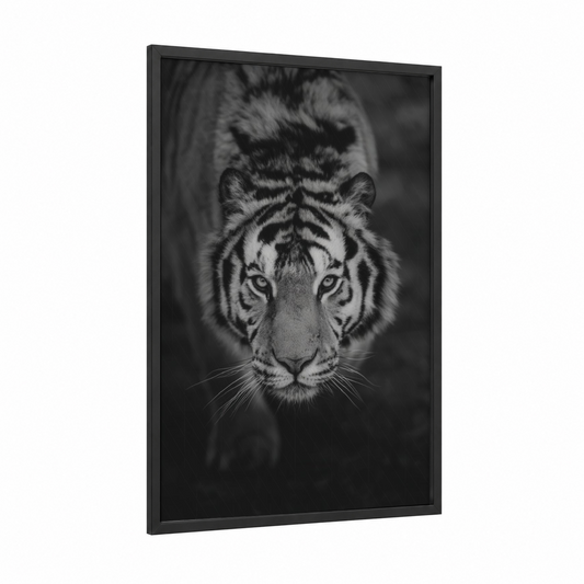 Frontal Tiger framed art print — black wood frame — black and white palette