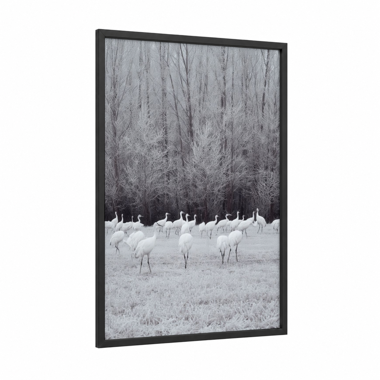 Snowy Crane Flock framed art print — black wood frame — black and white and gray palette