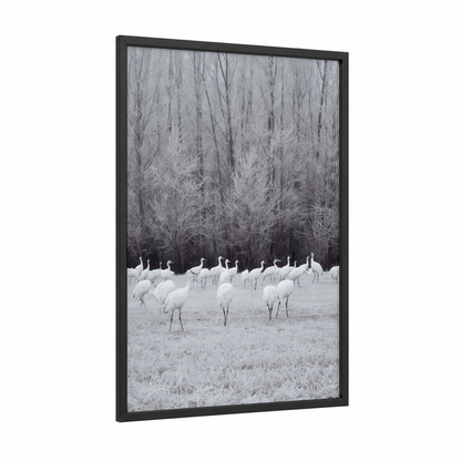 Snowy Crane Flock framed art print — black wood frame — black and white and gray palette