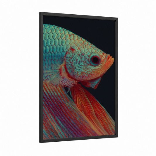Crimson Betta Fish framed art print — black wood frame — red and teal palette