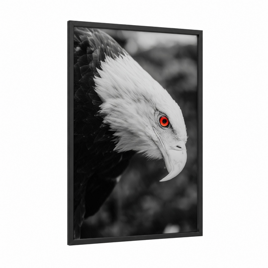 Crimson-Eyed Eagle framed art print — black wood frame — black and white and red palette