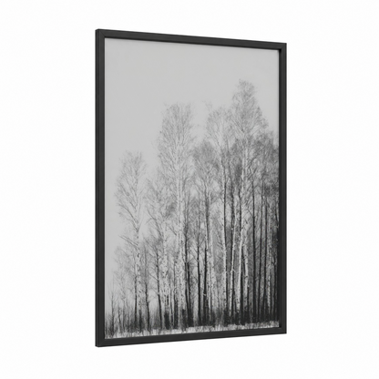 Frosted Birch Forest framed winter print — black wood frame — black and white and gray palette