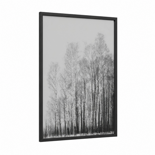 Frosted Birch Forest framed winter print — black wood frame — black and white and gray palette