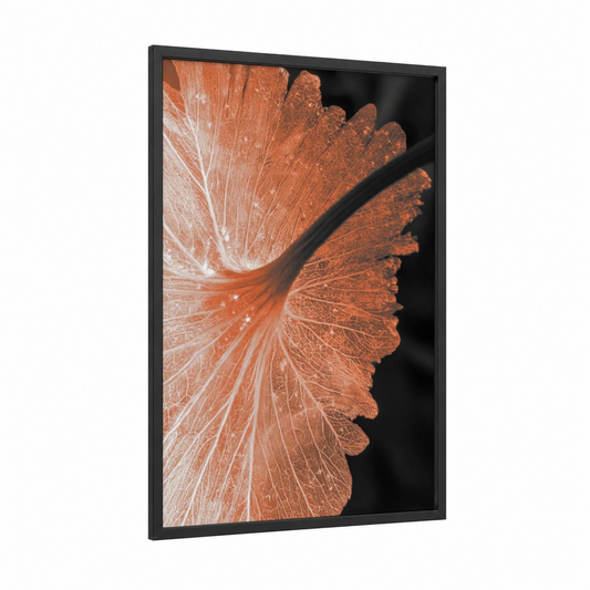 Coral Vein Bloom framed abstract flower print — black wood frame — russet and cream palette