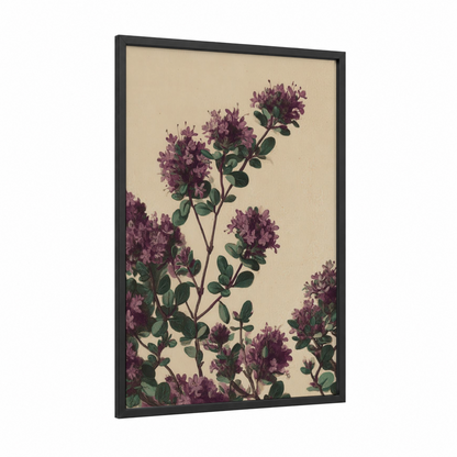 Purple Herb Botanical framed herbs print — black wood frame — purple and cream palette