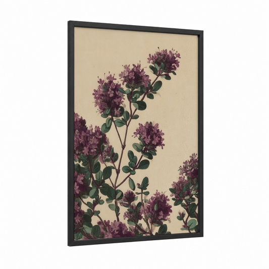 Purple Herb Botanical framed herbs print — black wood frame — purple and cream palette