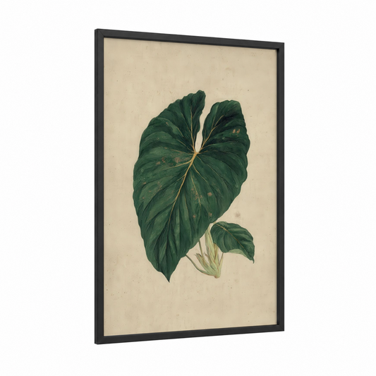 Tropical Monstera framed tropical trees print — black wood frame — dark green and cream palette