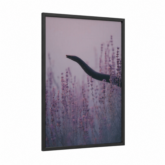 Lavender Eel framed eels print — black wood frame — lavender and gray palette