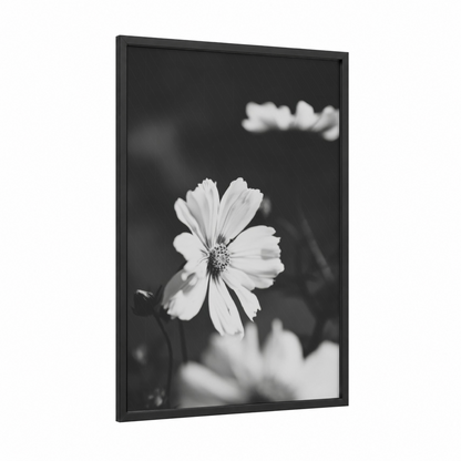 Monochrome Cosmos framed abstract flower print — black wood frame — black and white palette