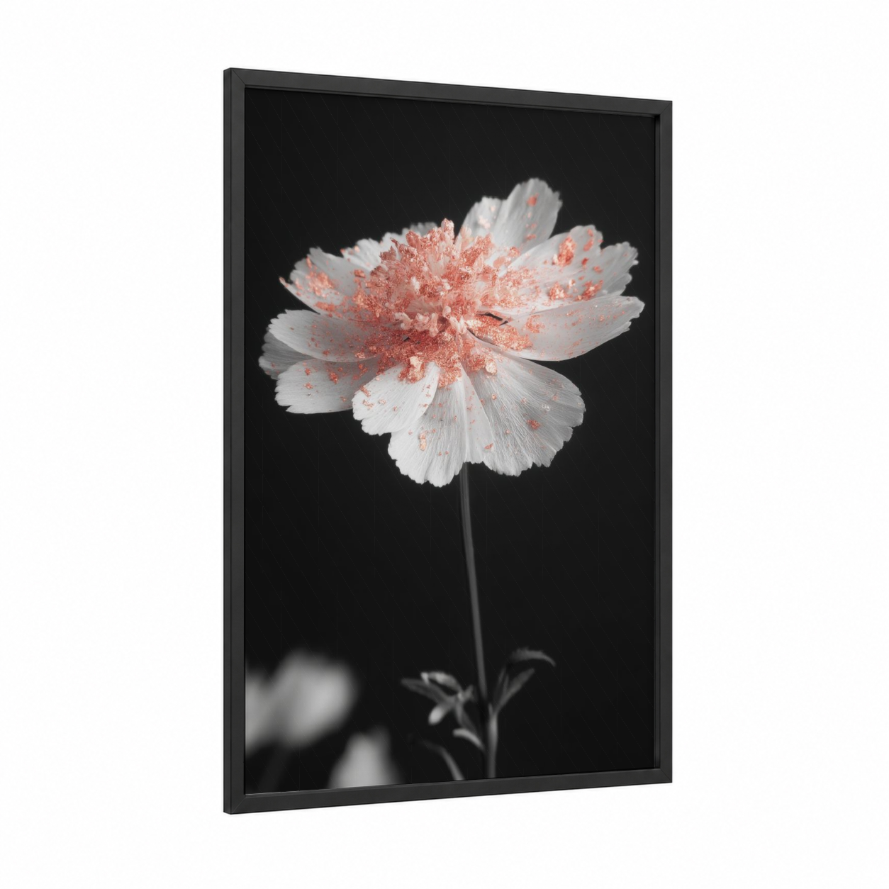 Coral Blossom Study framed abstract flower print — black wood frame — white and salmon pink palette