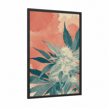 Coral Cannabis Bloom framed marijuana print — black wood frame — peach and teal palette
