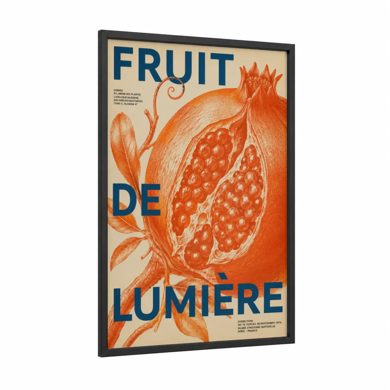 Vintage Botanical Pomegranate Wall Art framed fruit print — black wood frame — orange and beige palette