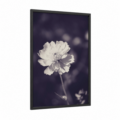 Ethereal Peony framed abstract flower print — black wood frame — black and white and gray palette