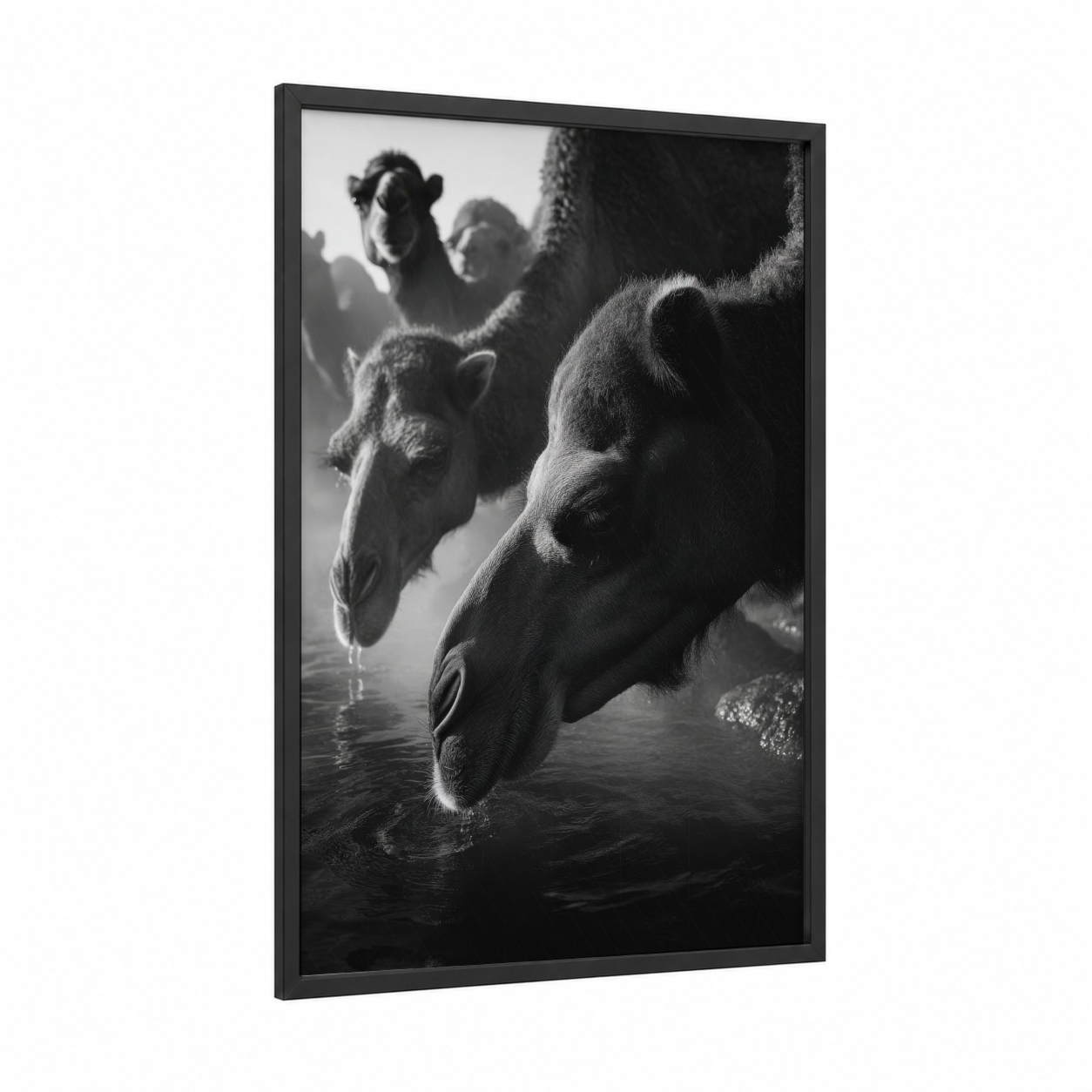 Desert Watering Camels framed art print — black wood frame — black and white and gray palette