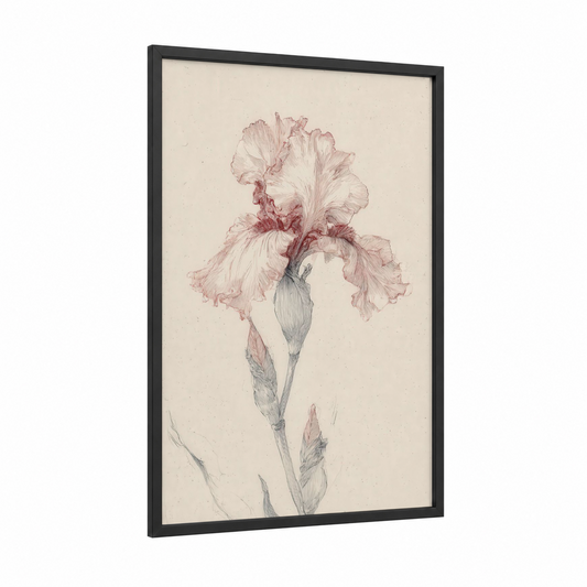Blush Iris Study framed art print — black wood frame — peach and cream palette