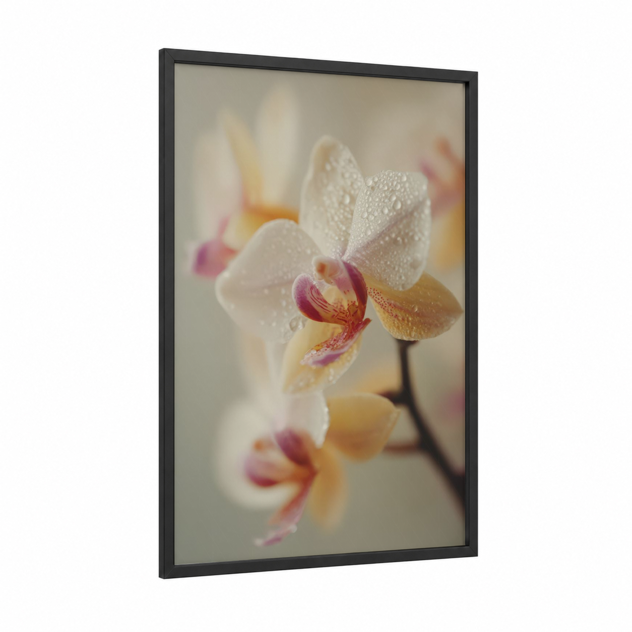 Dewdrop Orchid framed art print — black wood frame — cream and rose gold palette