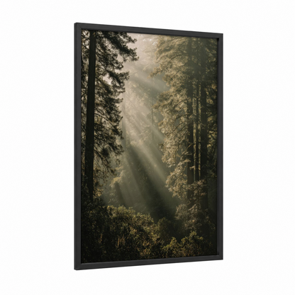 Misty Forest Sunrise framed art print — black wood frame — gold and green palette