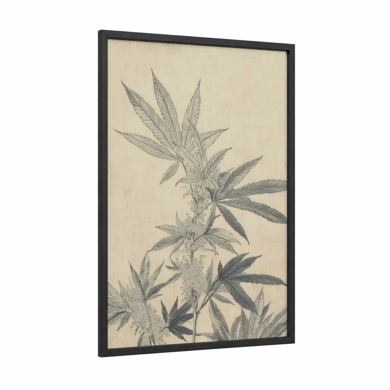 Cannabis Botanical Study framed marijuana print — black wood frame — cream and gray palette