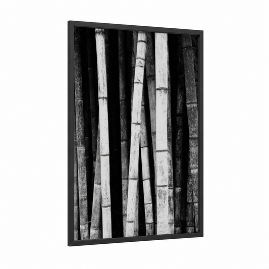 Monochrome Bamboo framed art print — black wood frame — black and white palette