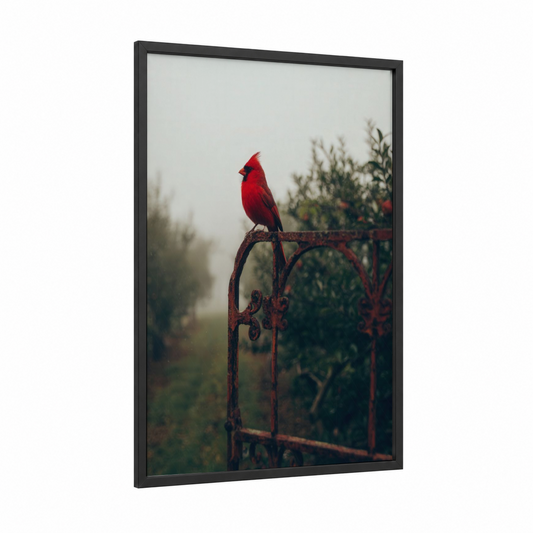 Crimson Cardinal Perch framed art print — black wood frame — red and gray palette