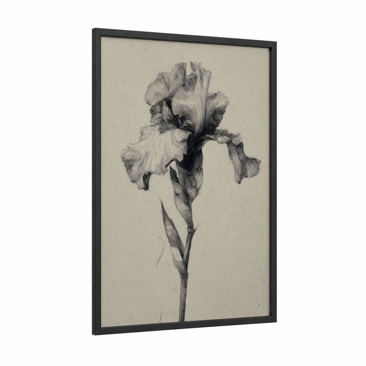 Elegant Iris Study framed art print — black wood frame — black and white palette