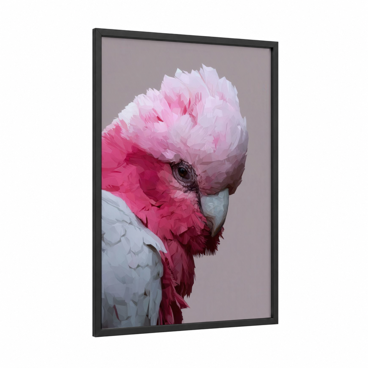 Pink Cockatoo Portrait framed safari parrots print — black wood frame — pink and white palette