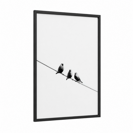 Three Finches framed art print — black wood frame — black and white palette