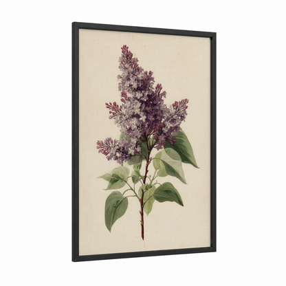 Purple Lilac Bouquet framed art print — black wood frame — lavender and sage green palette