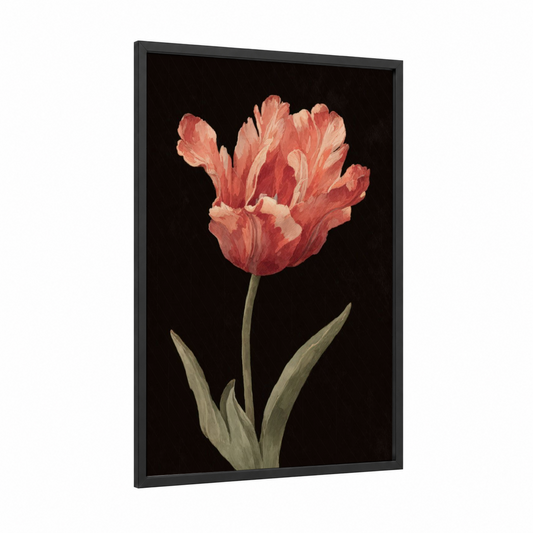 Coral Tulip Bloom framed art print — black wood frame — salmon pink and black palette