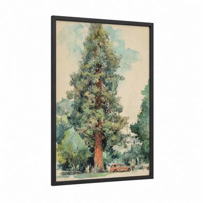 Majestic Redwood framed redwood tree print — black wood frame — light green and russet palette