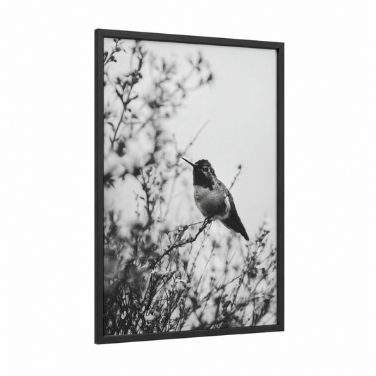 Garden Hummingbird framed art print — black wood frame — black and white and gray palette