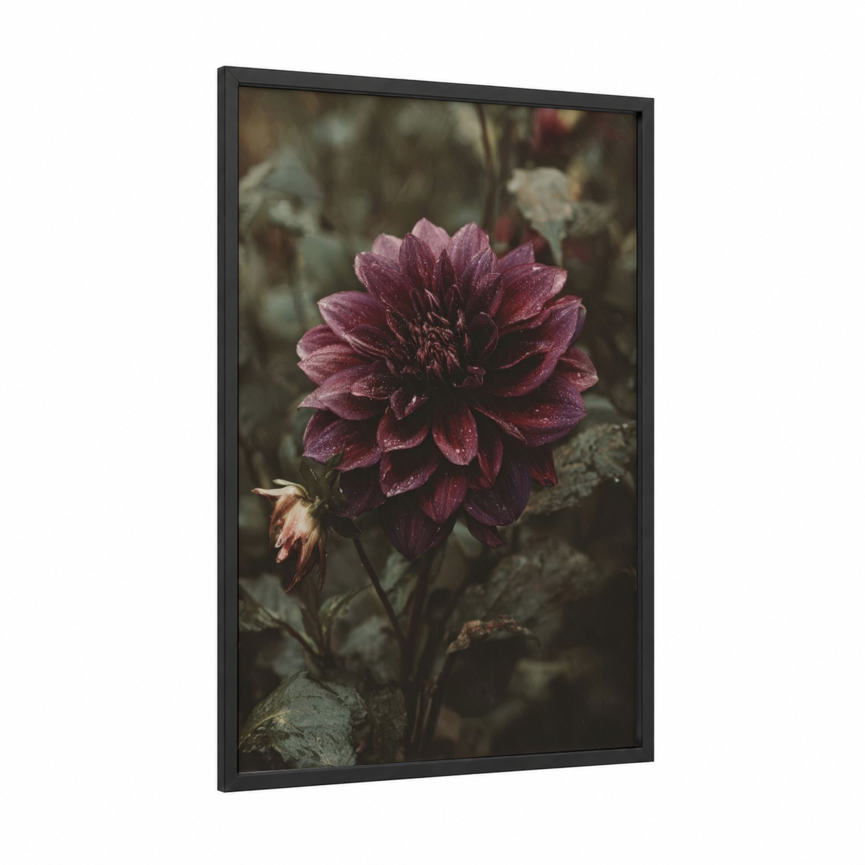Crimson Dahlia Bloom framed art print — black wood frame — maroon and sage green palette