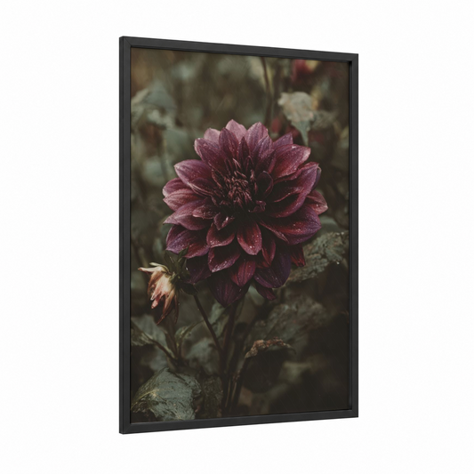 Crimson Dahlia Bloom framed art print — black wood frame — maroon and sage green palette