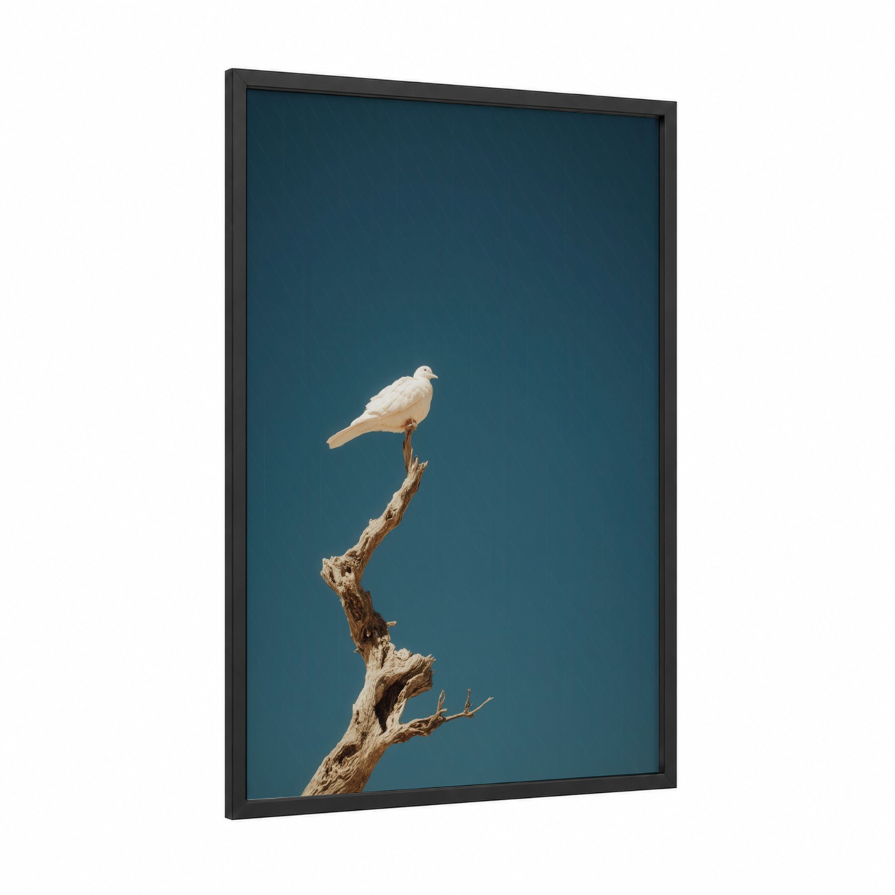Perched Dove framed art print — black wood frame — teal and white palette