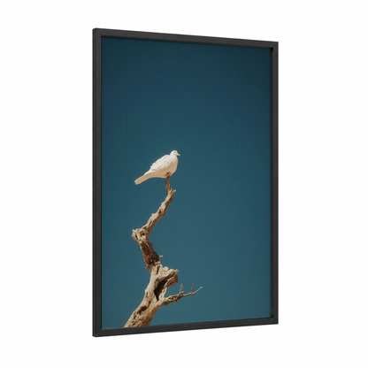Perched Dove framed art print — black wood frame — teal and white palette