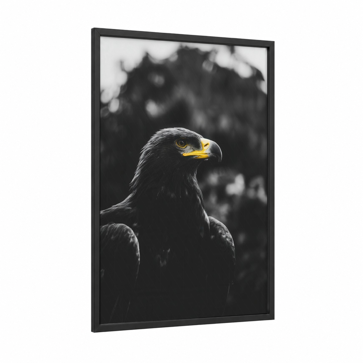 Golden Eagle Portrait framed art print — black wood frame — black and white and gold and white palette